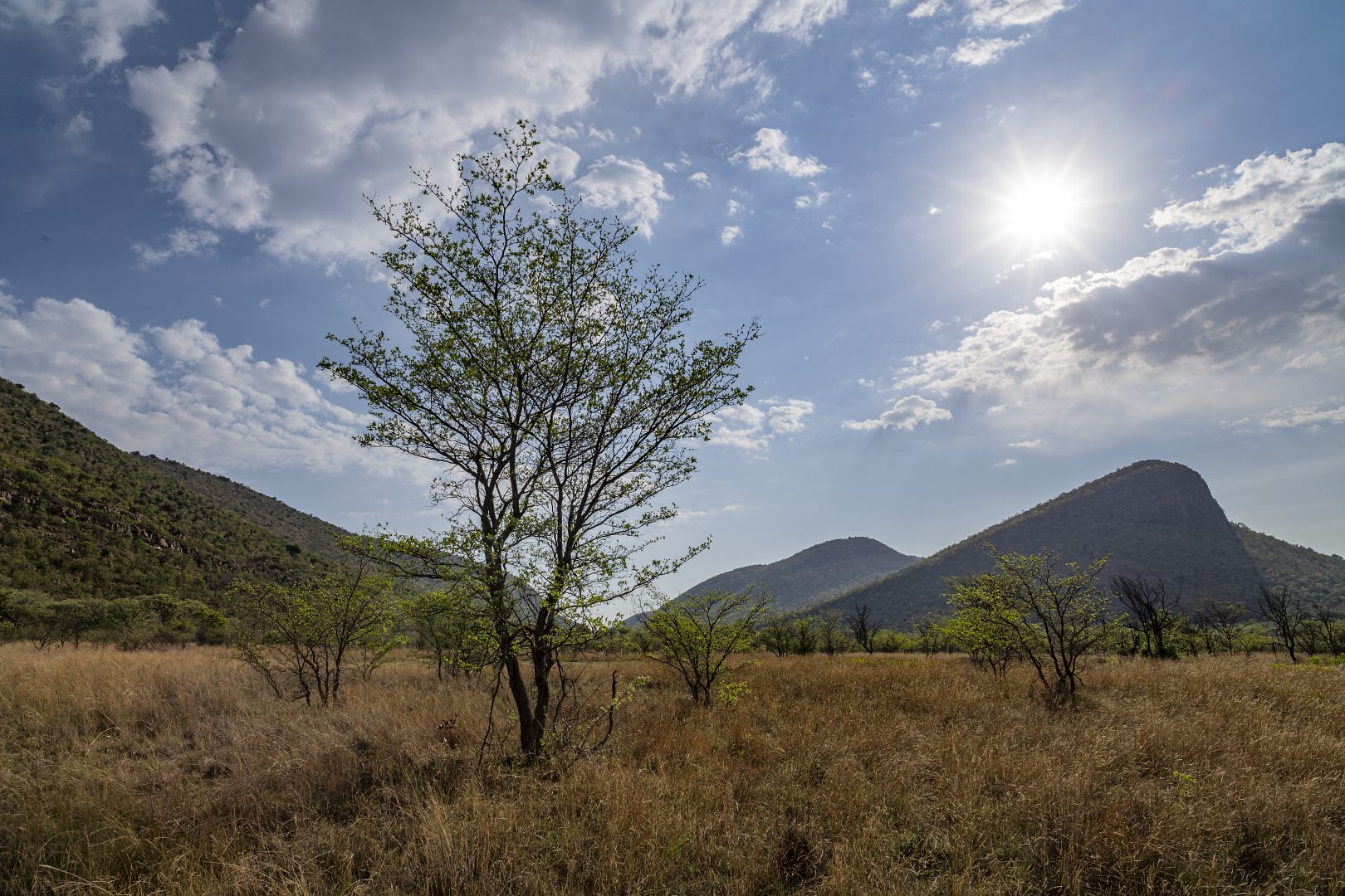 Mountain Lodging Bushveld