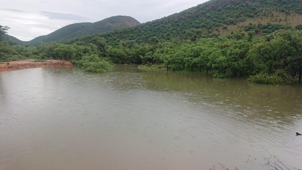 shoulder mountain shondoro