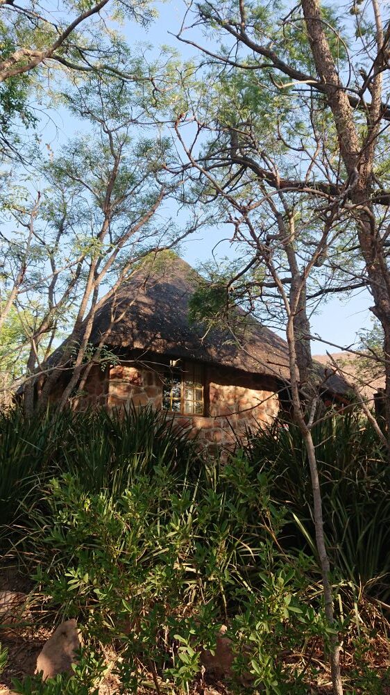 resized outside reedbuck